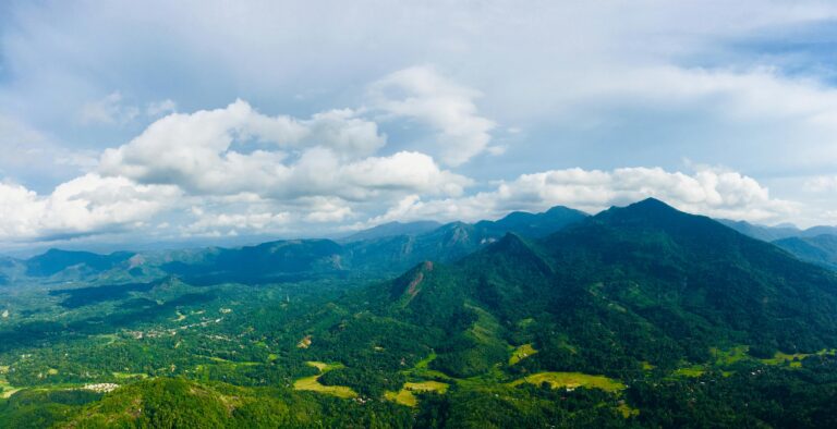 pexels-shaani-sewwandi-1401278-2937148