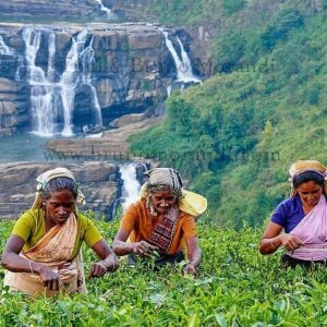 Whispers of the Highlands 9N10D